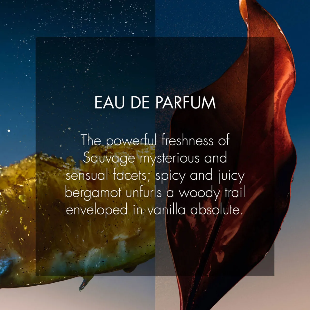 Best DIOR Sauvage Eau de Parfum