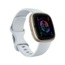 Fashion FITBIT Sense 2 Blue Mist-Soft Gold Smart Watch