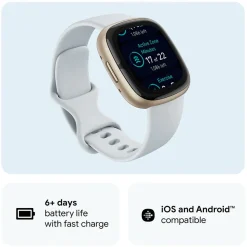 Fashion FITBIT Sense 2 Blue Mist-Soft Gold Smart Watch