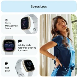 Fashion FITBIT Sense 2 Blue Mist-Soft Gold Smart Watch