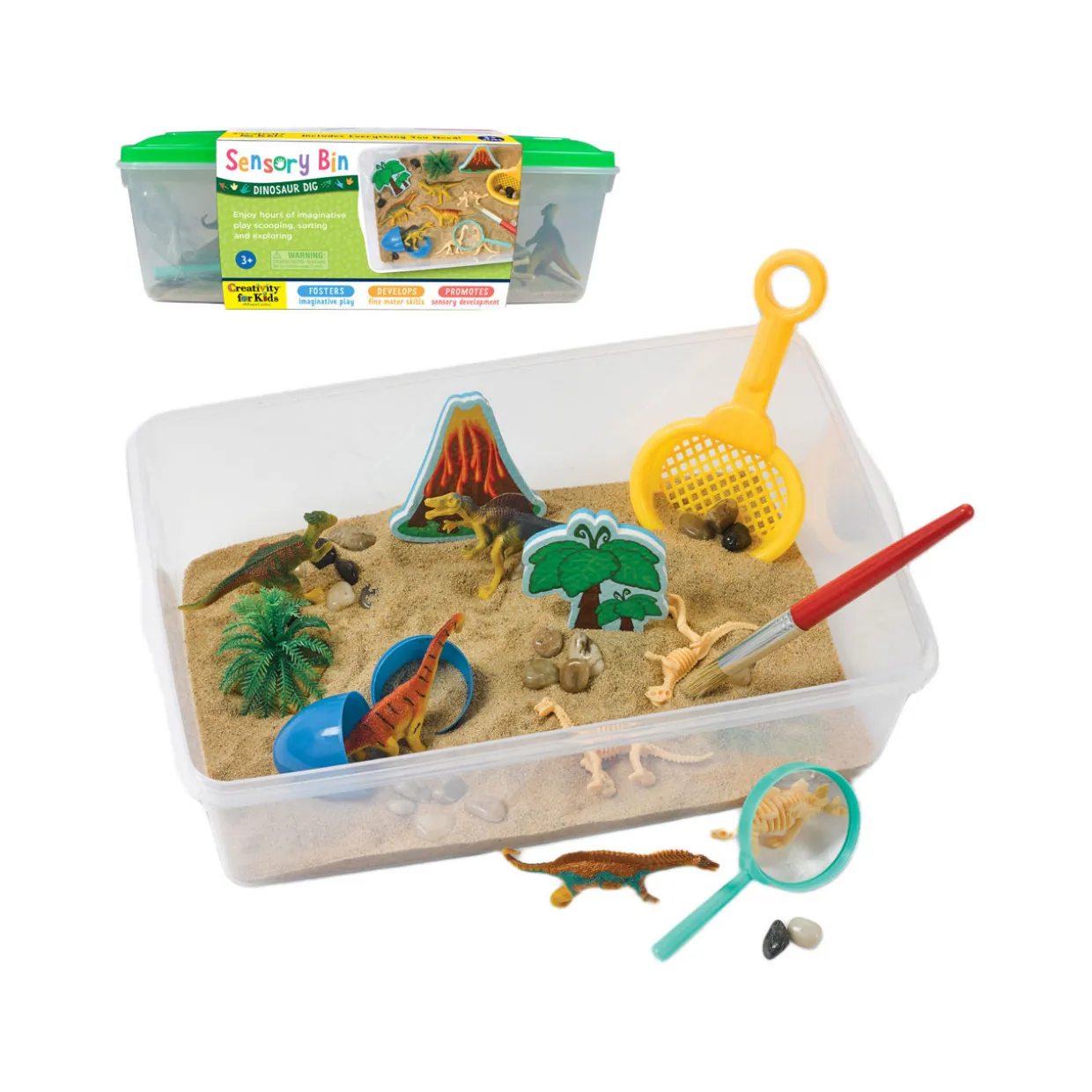 Sensory Bin: Dinosaur Dig