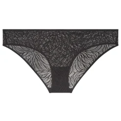 Sheer Marquisette Lace briefs