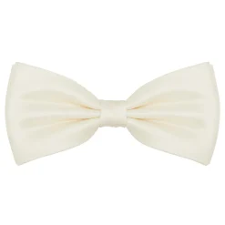 Silk Bow Tie
