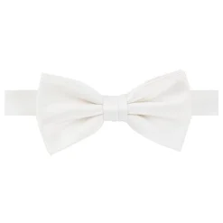 Silk Bow Tie