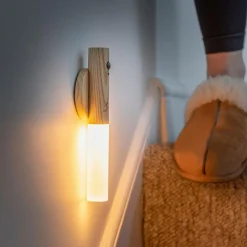 Online GINGKO Smart Baton Light