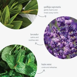 New DERMALOGICA Special Cleansing Gel