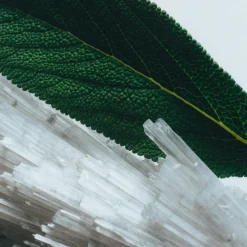 Hot JO MALONE LONDON Special-Edition Wood Sage & Sea Salt Cologne