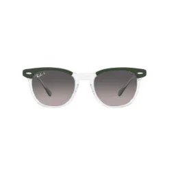 Square Sunglasses RB2298