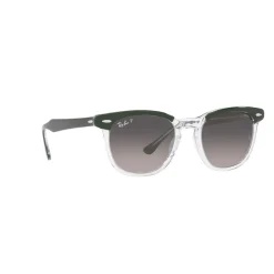 Square Sunglasses RB2298