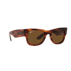 Square Sunglasses RB0840S