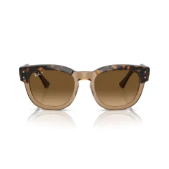 Square Sunglasses RB0298S