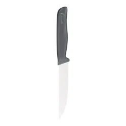 Steak Knife Serrated