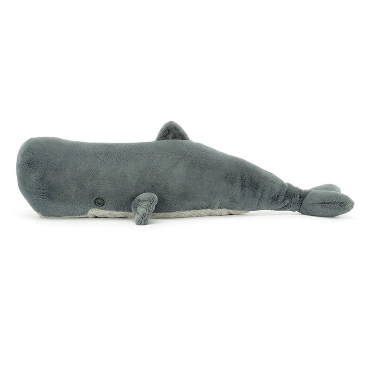 Sullivan the Sperm Whale 21cm