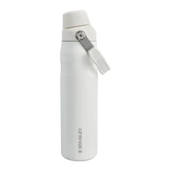 Fashion STANLEY The Frost IceFlow™ Fast Flow Bottle 0.6L