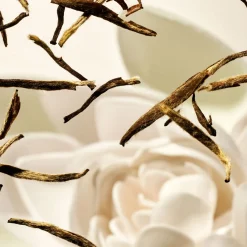 The Ritual of Karma Refill Scented Candle