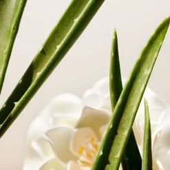 The Ritual of Namaste Clarifying Facial Toner