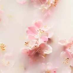 The Ritual of Sakura Refill Scented Candle