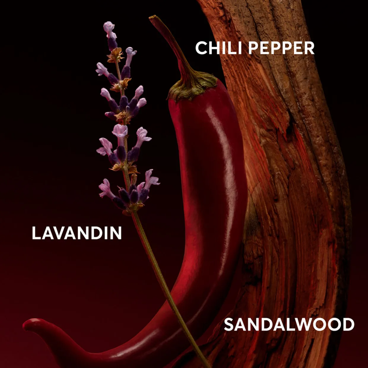 The Scent Elixir for Him EDP