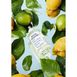 Under The Lemon Trees