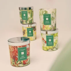 White Lilac & Rhubarb Charity Classic Candle