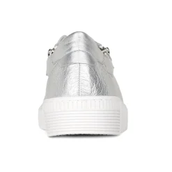 Wisdom Platform Trainers