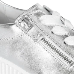 Wisdom Platform Trainers