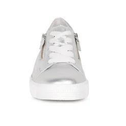 Wisdom Platform Trainers