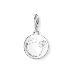 Wishes Come True Disc Charm