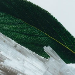 New JO MALONE LONDON Wood Sage & Sea Salt Exfoliating Shower Gel