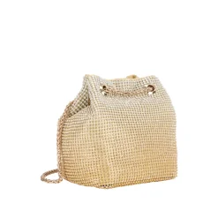 Zalina Embellished Pouch Bag